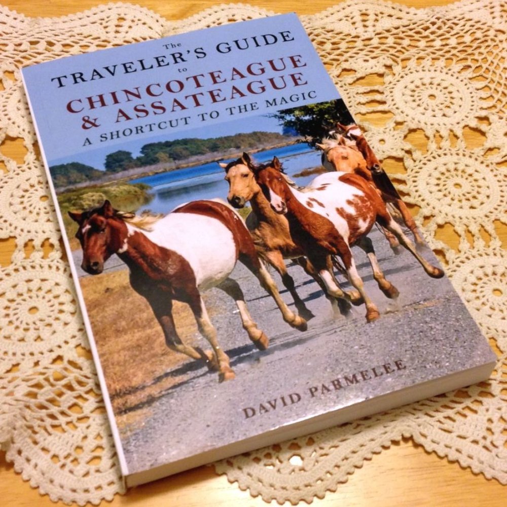 Book Sale! 3 for $10! Travel / Parks & Campgrounds, Chinocoteague & Assateague